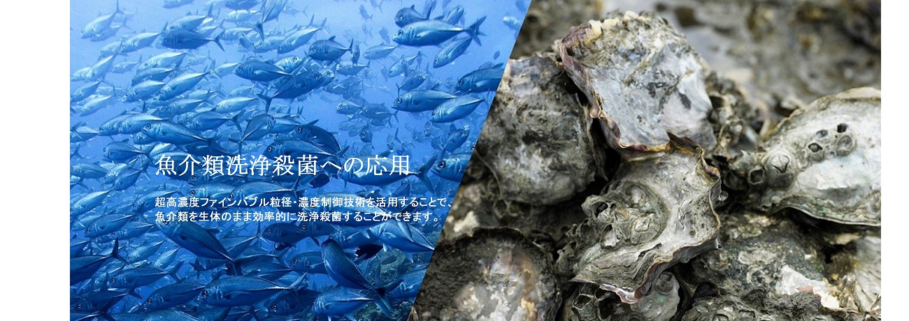 魚介類洗浄殺菌への応用