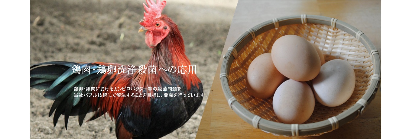 鶏肉・鶏卵洗浄殺菌への応用