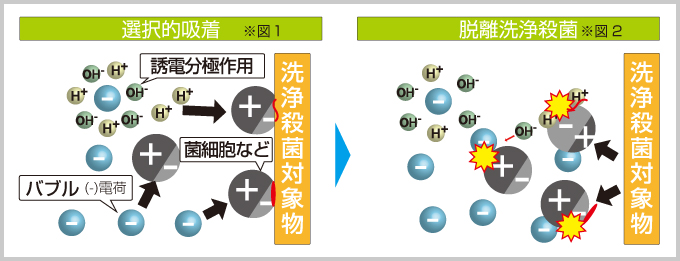 選択的吸着　脱離洗浄殺菌