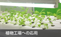 植物工場への応用